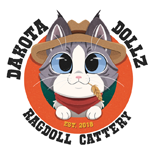 Dakota Dollz Ragdoll Cattery - Logo